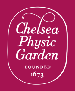 Since 1673, Chelsea Physic Garden has been evolving with the world around it. London’s oldest botanic garden is marking its 350-year anniversary in 2023, using its past to create a vision for its future.